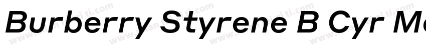 Burberry Styrene B Cyr Medium Plus字体转换